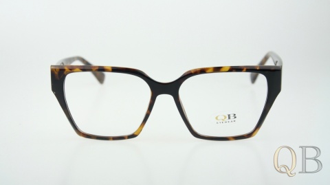 C2