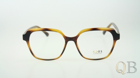 C2