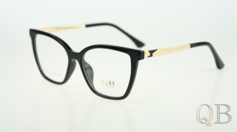 C1