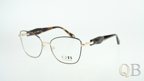 C1