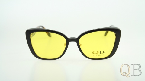 C1