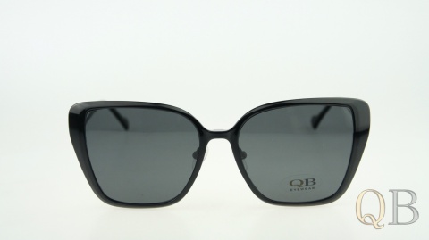 C1