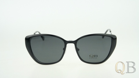 C1