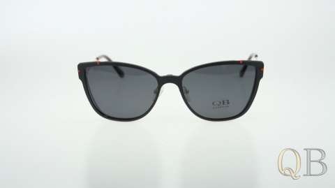 C1